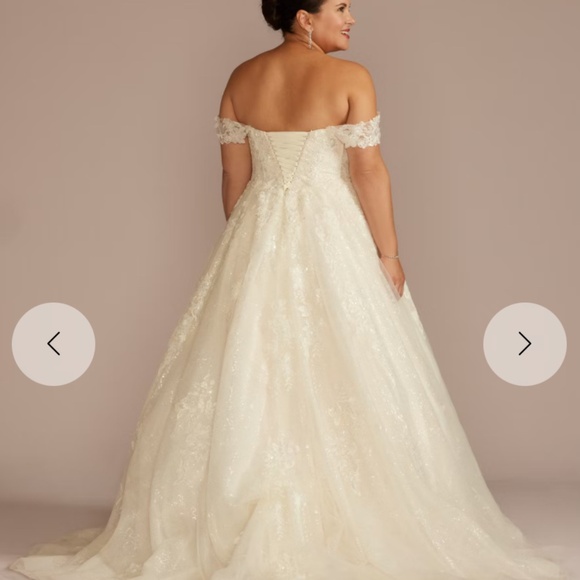 Plus Size Wedding Dress - Picture 3 of 6